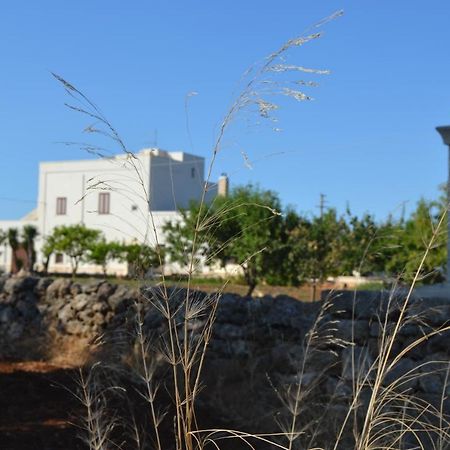 فيلا Residenza "I Tre Carrubi " فاسانو المظهر الخارجي الصورة
