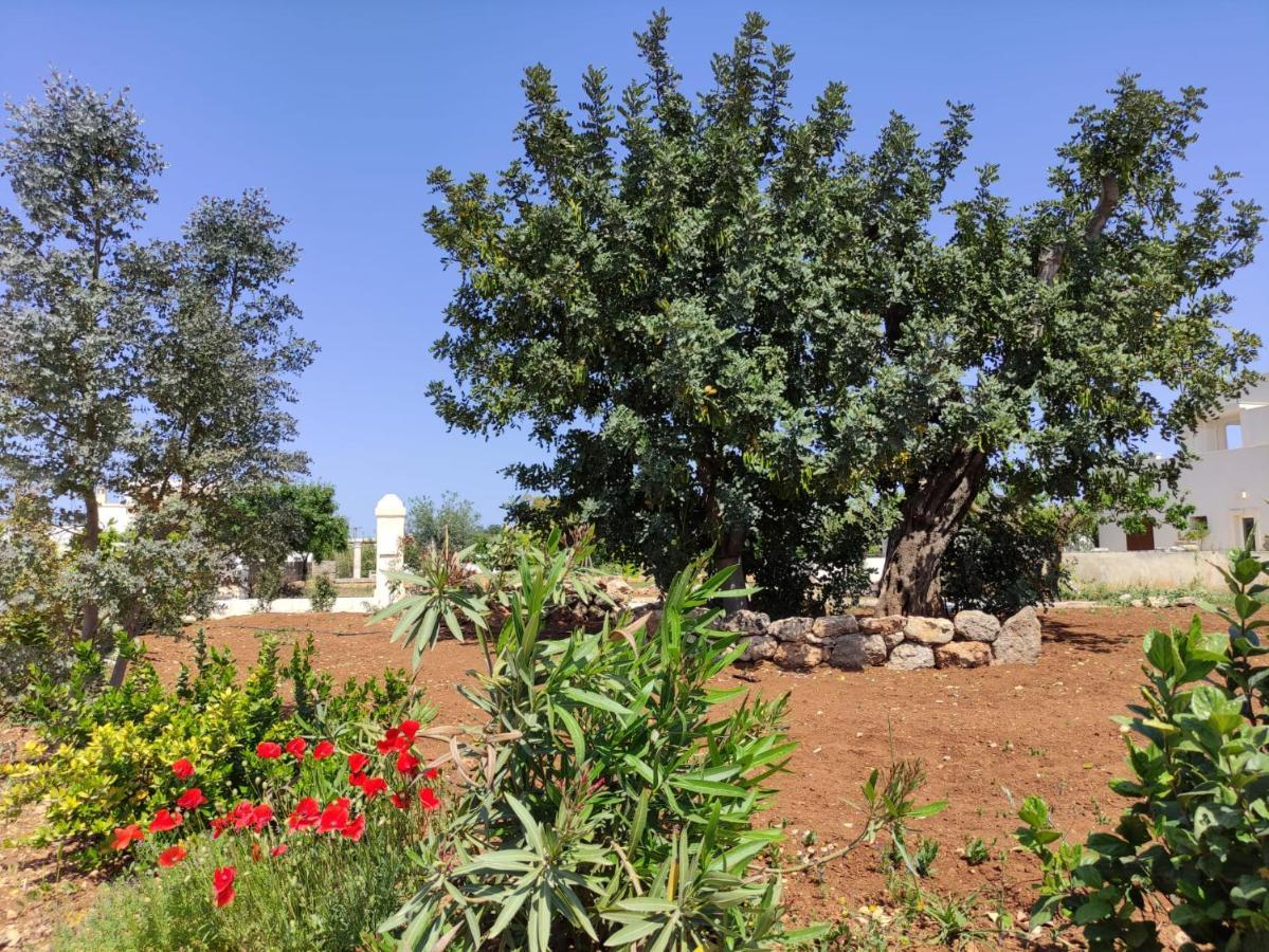 فيلا Residenza "I Tre Carrubi " فاسانو المظهر الخارجي الصورة